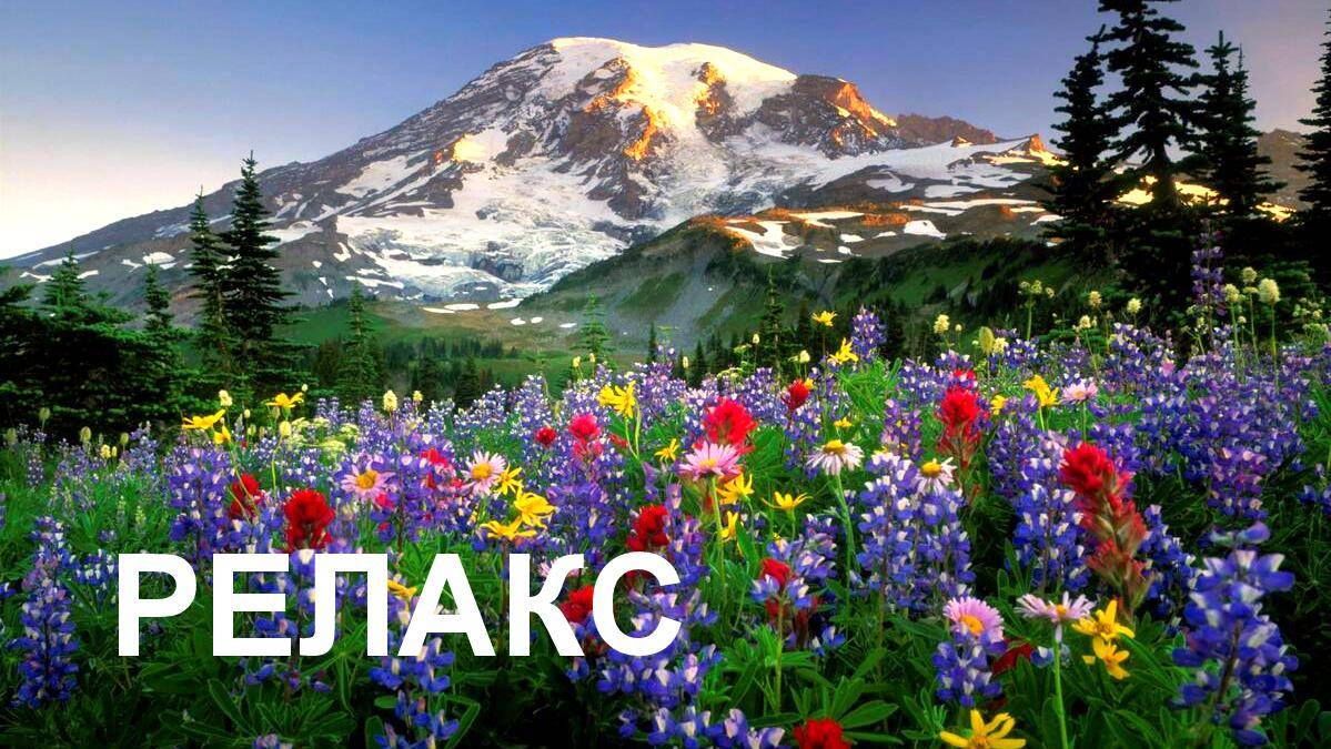 Волшебная Мелодия Для Души - 140 минут релаксации. смотреть онлайн