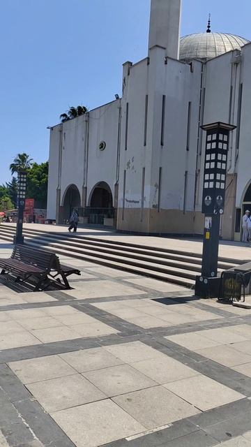 Наглый голубь.mp4