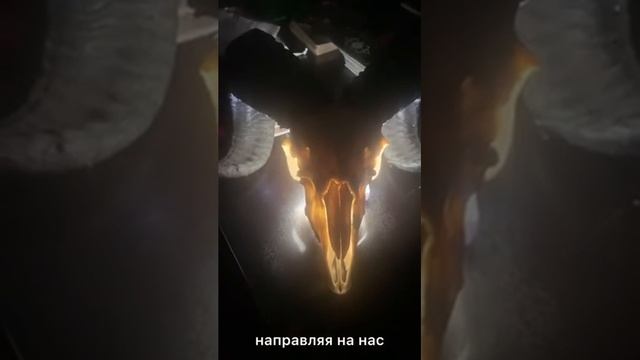 КАК ВЕРШИТСЯ МАГИЯ. Взгляд глазами моих клиентов.