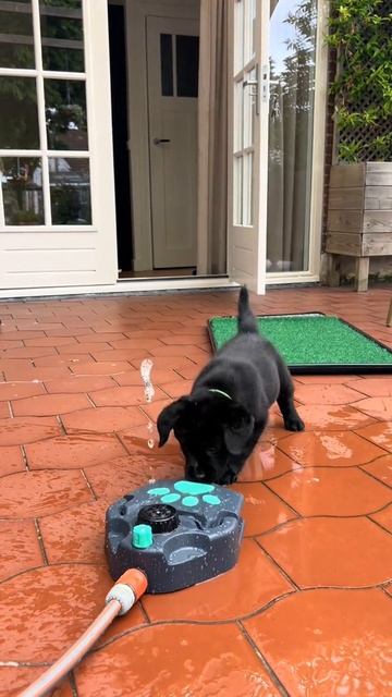 Страшно смотреть онлайн