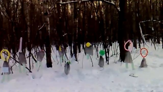 Redquest. Стреляет команда ТИКСИ