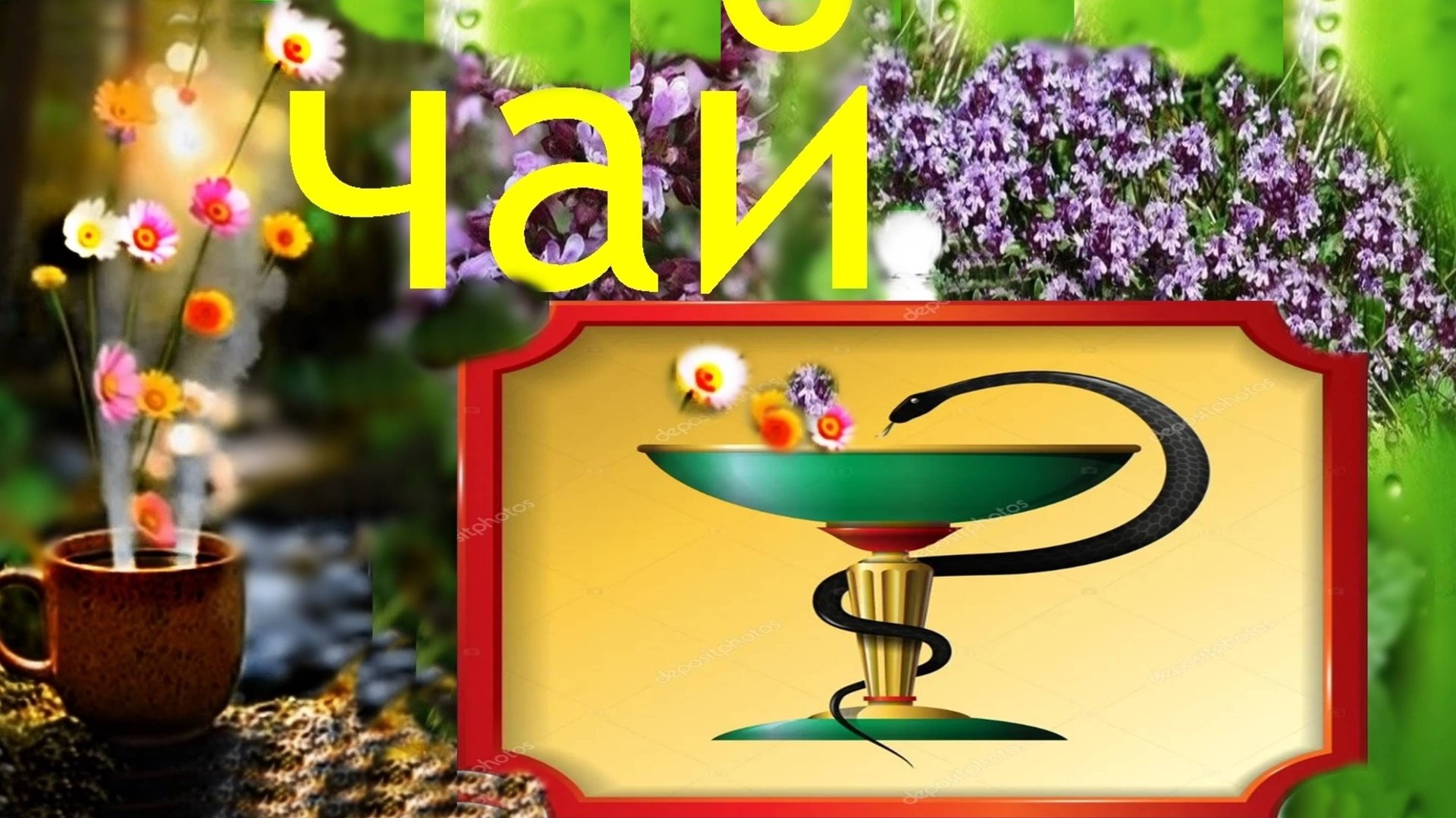 Чайная трава -пахучая,полезная... смотреть онлайн