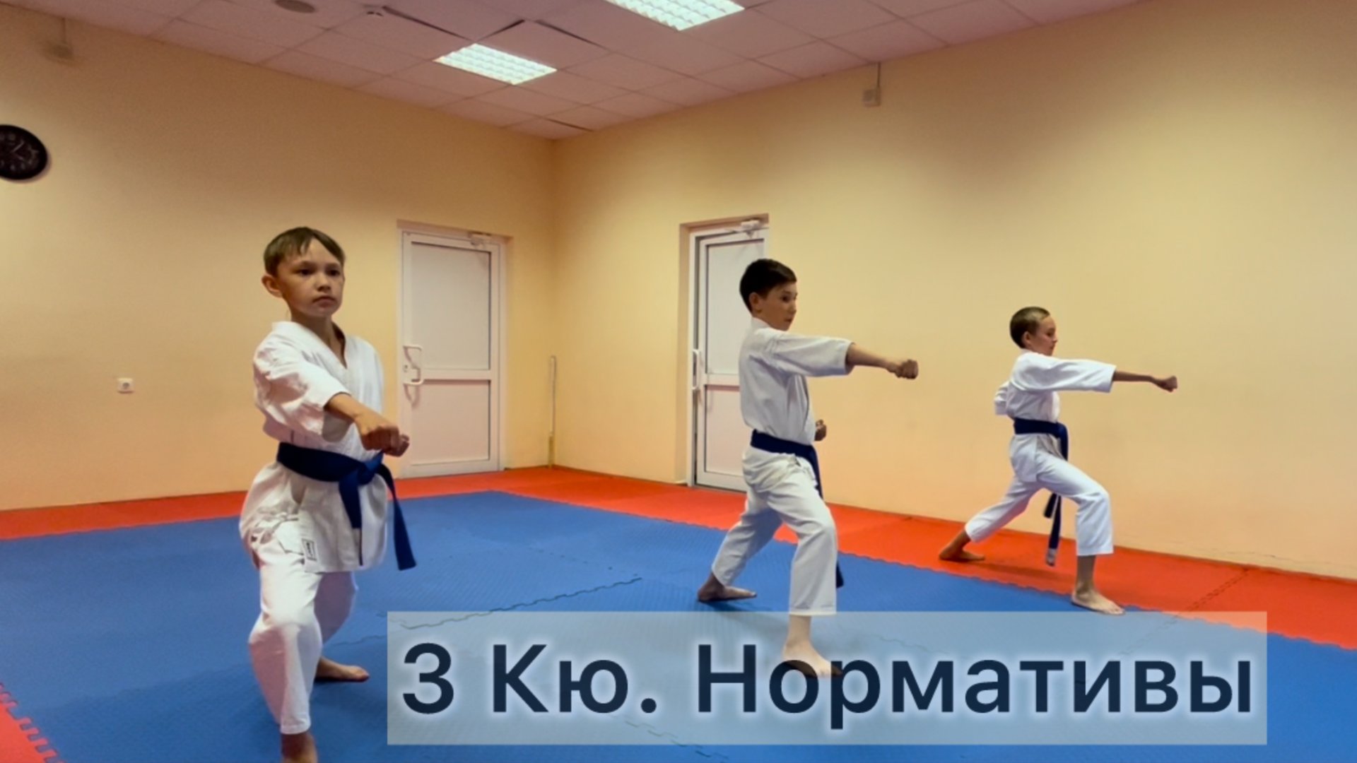 3 Кю. Нормативы 
#каратэ #шотокан