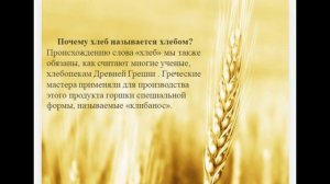 Презентация на тему «ХЛЕБ ВСЕМУ ГОЛОВА»