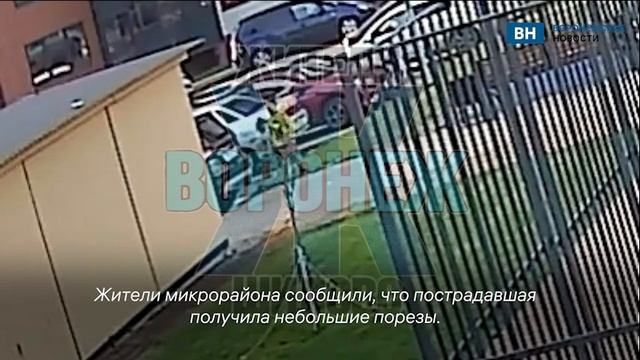 В воронежском микрорайоне подросток с ножом напал на ? смотреть онлайн