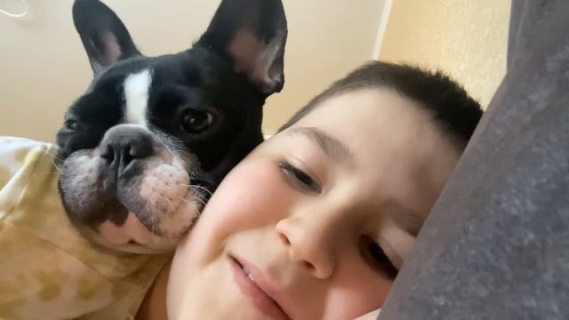 Когда собака увидела сухари