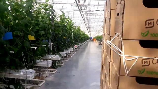 Autoboy Blackbox : Dashcam App - 2020-02-11 14:18:10 Unnamed Road, Краснодарский кр?