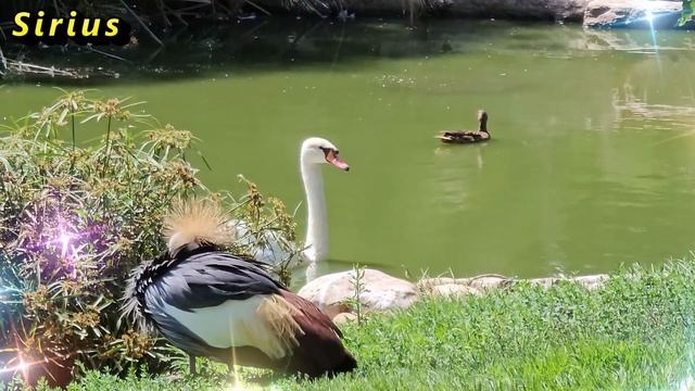 Если нашли такие вещи притянете положительные энерги? смотреть онлайн
