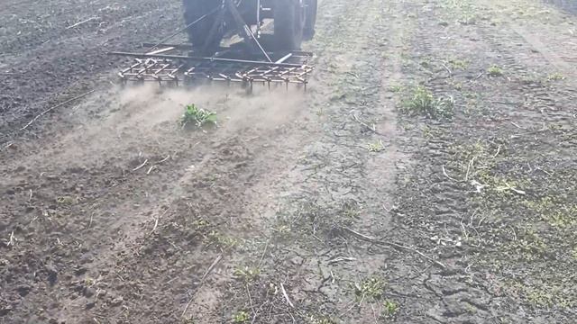 Бороню огород на мини тракторе Xingtai 120