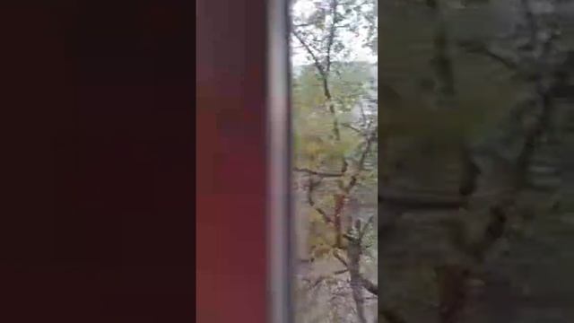 ужин с Наташечкой цветы абрикос смотреть онлайн