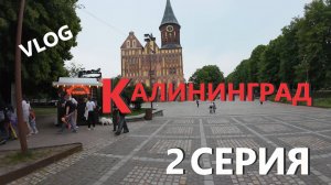 ОСТРОВ КАНТА / КАФЕДРАЛЬНЫЙ СОБОР / РЫБНАЯ ДЕРЕВНЯ / ВКУСНАЯ ЕДА / КАЛИНИНГРАД / VLOG / 04. 06. 2025