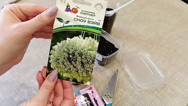 Может и к лучшему, что не успела посеять в теплице. Сею