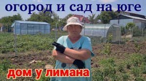 Дом у лимана. Ейск. Александровка. Огород и сад на юге. Штормит. Берег турецкий...