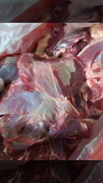 Говядина .  ГОСТ Р 54704-2011. Односорт