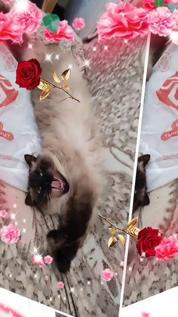 доброе утро