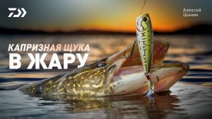 Капризная щука в жару x Алексей Шанин