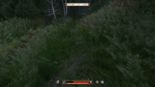 Kingdom Come Deliverance 2 -  вор капусты.