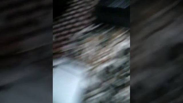 Авто акустика дома