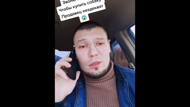 Передумал покупать собаку 🐶 смотреть онлайн