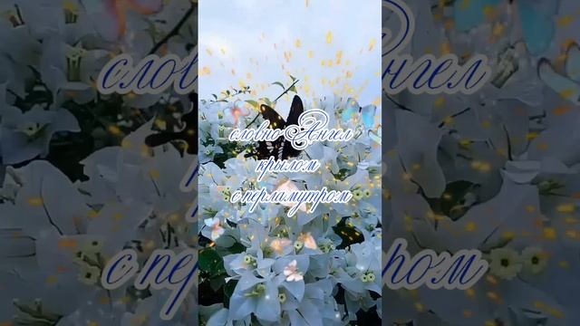 С ДОБРЫМ ЦВЕТОЧНЫМ УТРОМ! 🌺🌼🌸 смотреть онлайн