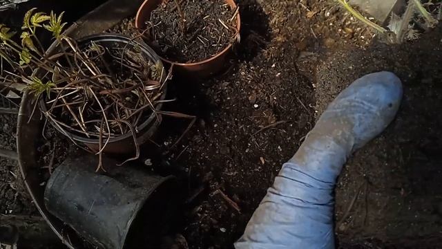 КАК  ПОДГОТОВИТЬ  ПРОСТРЕЛ  К  ПОСАДКЕ?