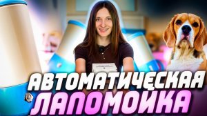 Автоматическая лапомойка для собак