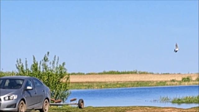 Новая Ладога