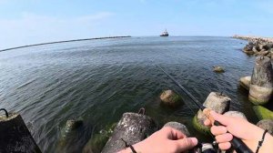 Рыбалка в Балтийске. Ловля Камбалы и Салаки с берега.