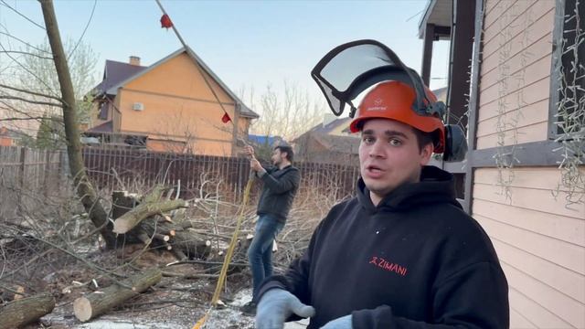 Первый раз свалил дерево бензопилой на участке. Бензо?