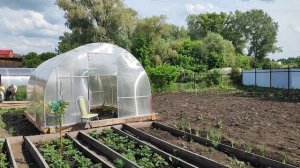 12ИЮНЯ  РАБОТАЛИ В ОГОРОДЕ/ЖАРИЛИ ШАШЛЫКИ🍗