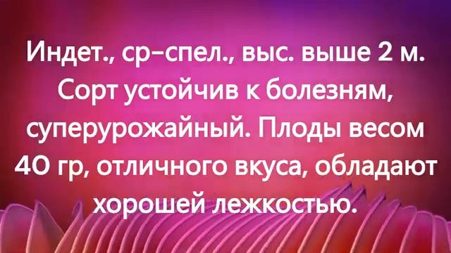 Эти томаты отлично подходят для консервирования.