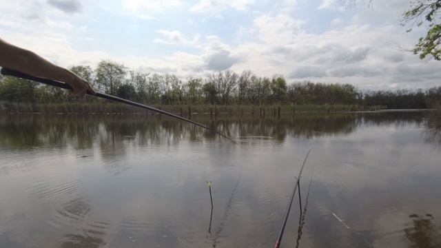 Весенняя рыбалка в мае на поплавочную удочку! Караси, ?