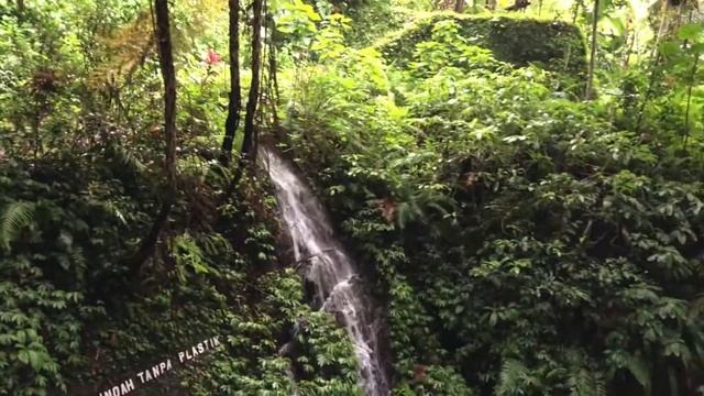 Источники Себату на Бали | UBUD, BALI, INDONESIA