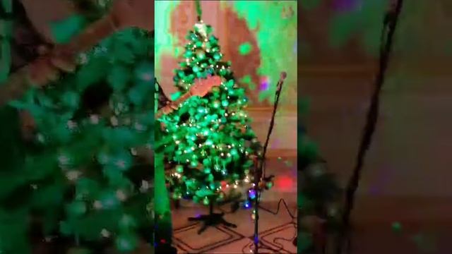 VID-20241218-WA0008.mp4 смотреть онлайн