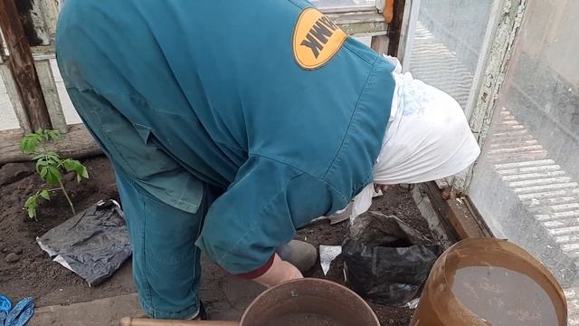 ОГУРЦЫ.(интересная посадка)