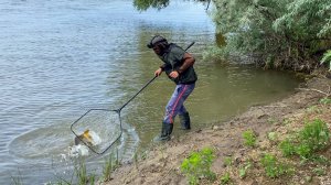 БЕШЕНЫЕ ПОКЛЁВКИ САЗАНА НА ЭТИ ДЕРЕВЯШКИ! ВЫРЫВАЮТ СТОРОЖКИ! ПРОСТЫЕ ЗАКИДУШКИ - ЖМЫХОВКИ В ДЕЛЕ.