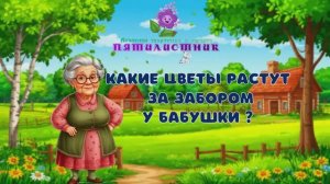 Какие цветы растут у бабушки за забором.