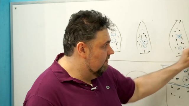 Выбор данных | Советы + Навыки | Бизнес Кидс