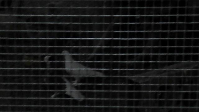 DSCN8052 Парк Шерстяник город Невинномысск июнь 2025