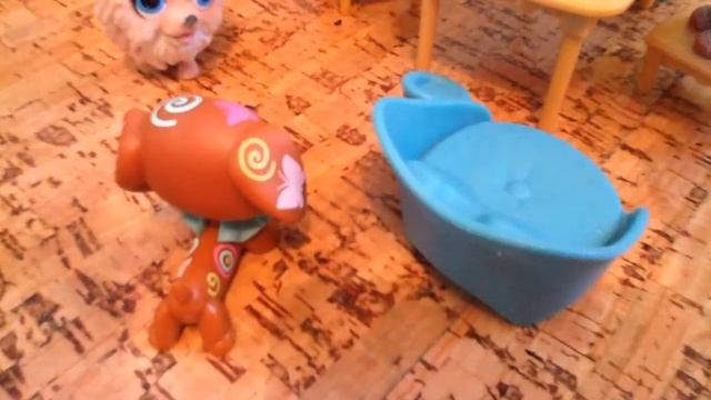 LPS: Мой Герой~ 20 серия 2 сезон