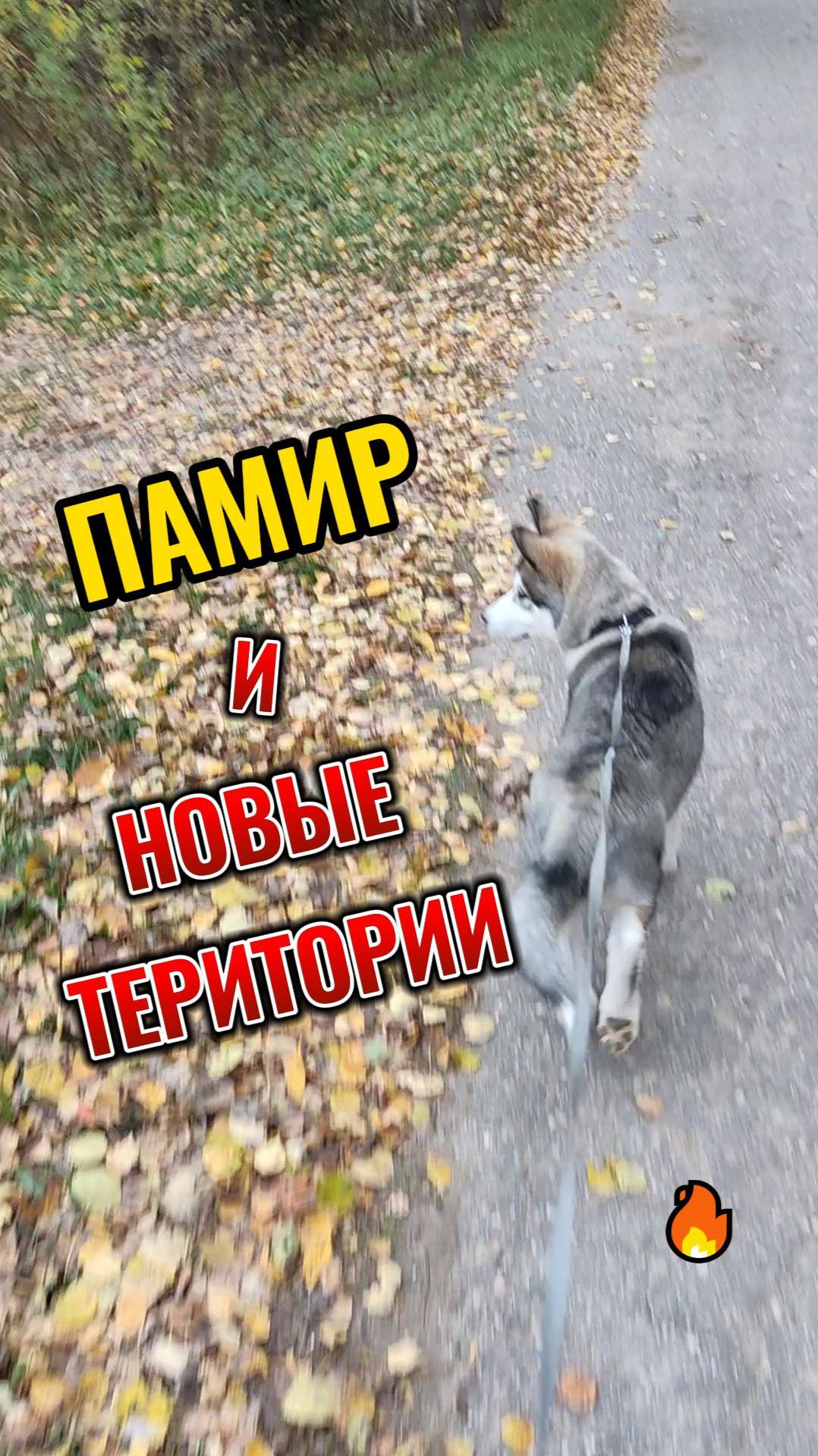 НОВЫЕ ТЕРИТОРИИ