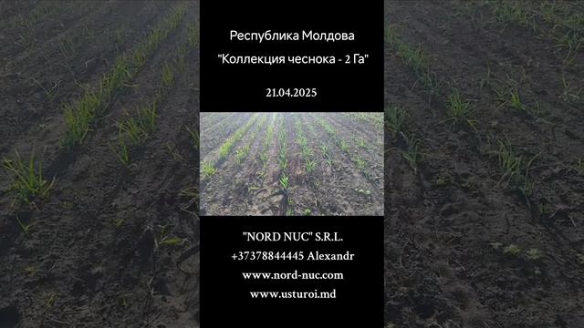 Республика Молдова 