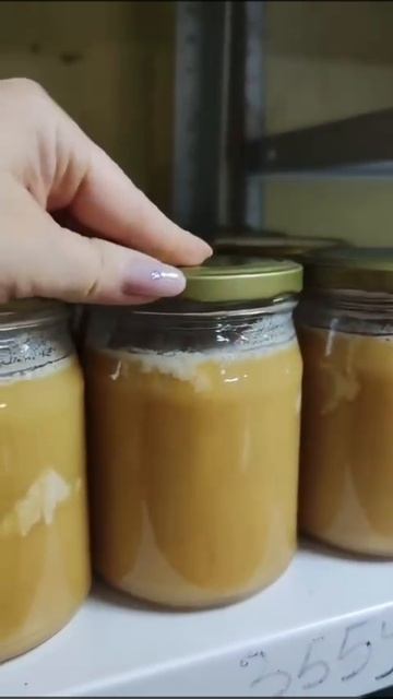 Кориандровый мед 2024 года