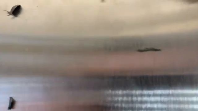 Установка чипа на принтер HP 428 смотреть онлайн