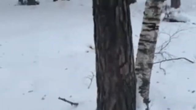 Дидактический дизайн блока «Вода»ООП ДО с интеграцией дополнительных эколого-ориентированных модуле