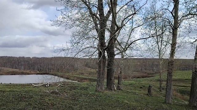 Заехал на битую деревню