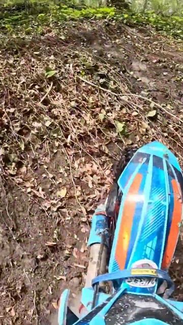 Превью к видео .Небугзберг 2025. Класс Золото. Второй день. ТОЛКАЙ ИЛИ УМРИ! смотреть онлайн