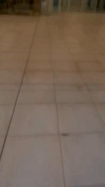 Время для путешествий настало😎 смотреть онлайн