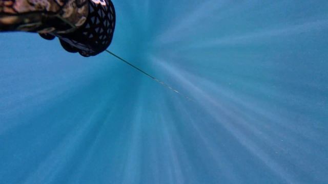 Лучший буйреп для подводной охоты? Растягивающий? смотреть онлайн