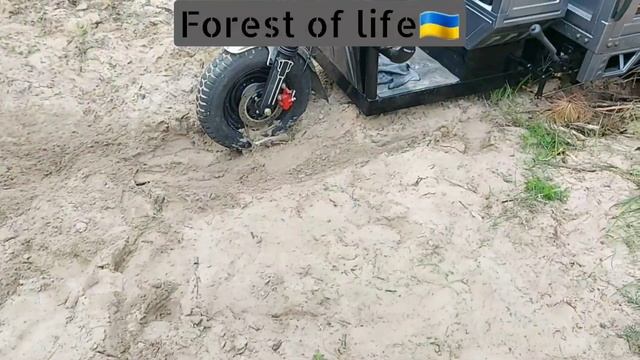 Закопав в пісок Fada Бізон #трицикл #муравей #бука #скуте?